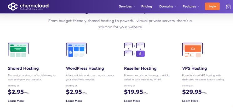 Choose Your Desired Hosting Plan