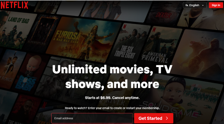 Netflix Website