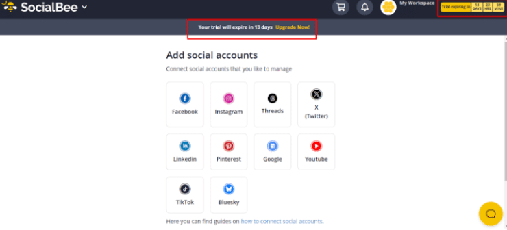 Socialbee Social Account Page