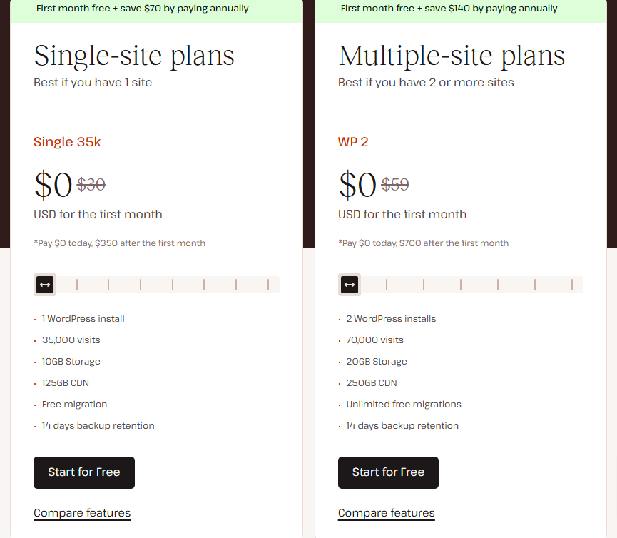 Kinsta pricing plan