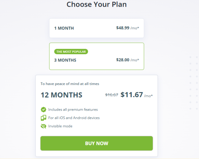 mSPY pricing plans